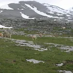 Casa Aneta Lägenhet *