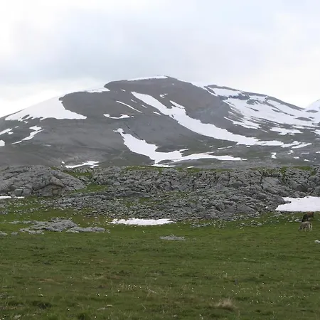 Appartement Casa Aneta