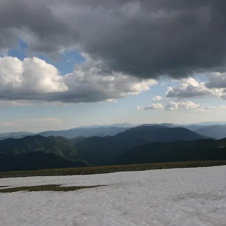 公寓 阿内塔公寓 *