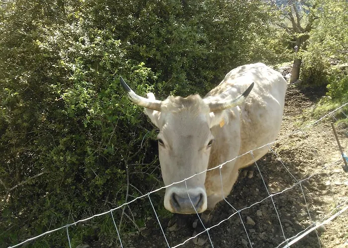 アパート Casa Aneta