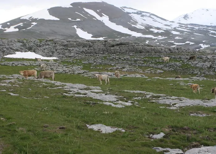 Casa Aneta アパート *