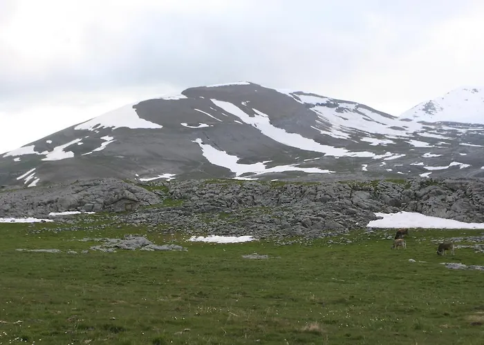 アパート Casa Aneta